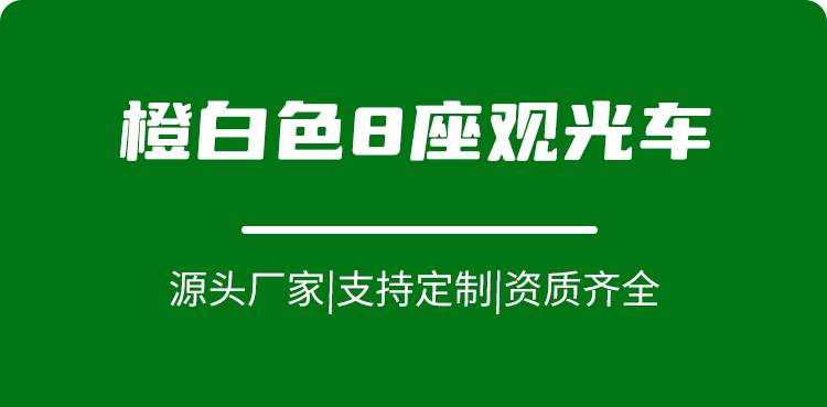 專業(yè)電動巡邏車廠家,電動觀光車制造商